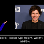 David Dobrik Tiktoker Age, Height, Weight, Net Worth, & Wiki/Bio 